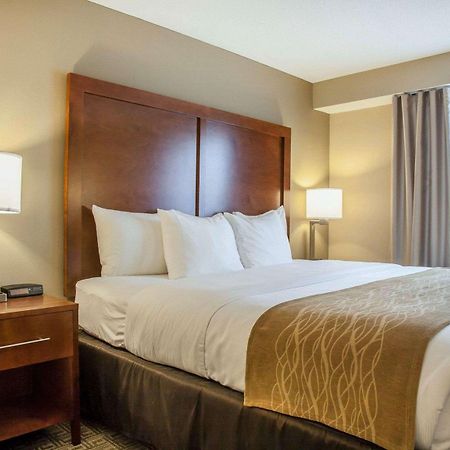 Comfort Inn & Suites Sturbridge-Brimfield Kültér fotó